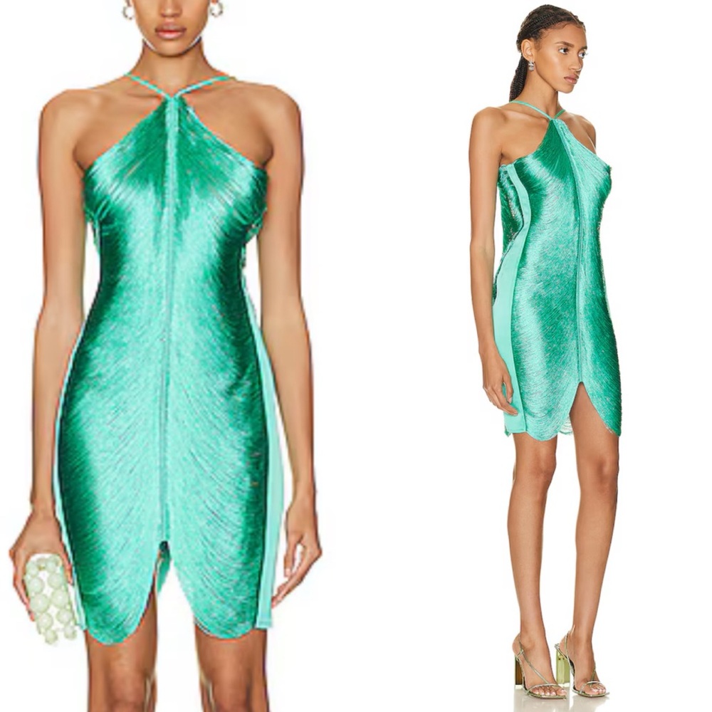 Cult Gaia Mara Fringe Mini Dress in Erba Size Medium $998 MSRP - Picture 16 of 16